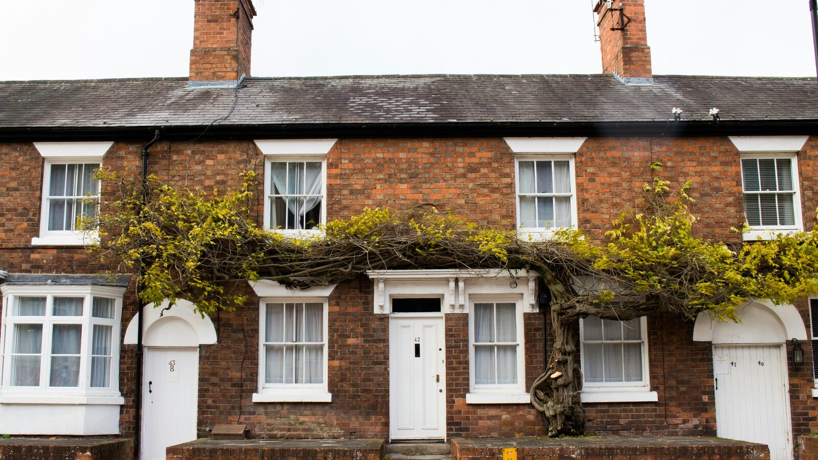 Selective Licensing Is Expanding: What Landlords Should Know